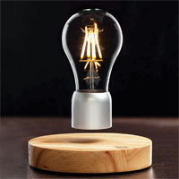 Image: FireFly lamp